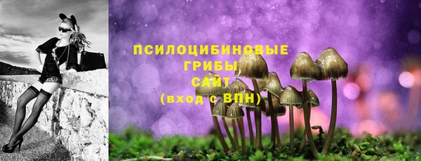 PSILOCYBIN Медногорск