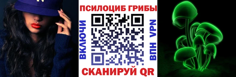 как найти   Вилючинск  Псилоцибиновые грибы прущие грибы 